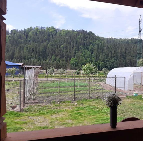 Casă cu 4 camere în Central