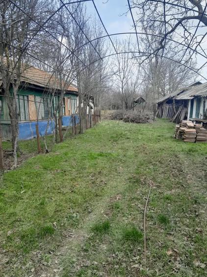 Teren de 5000 mp, în Albeni