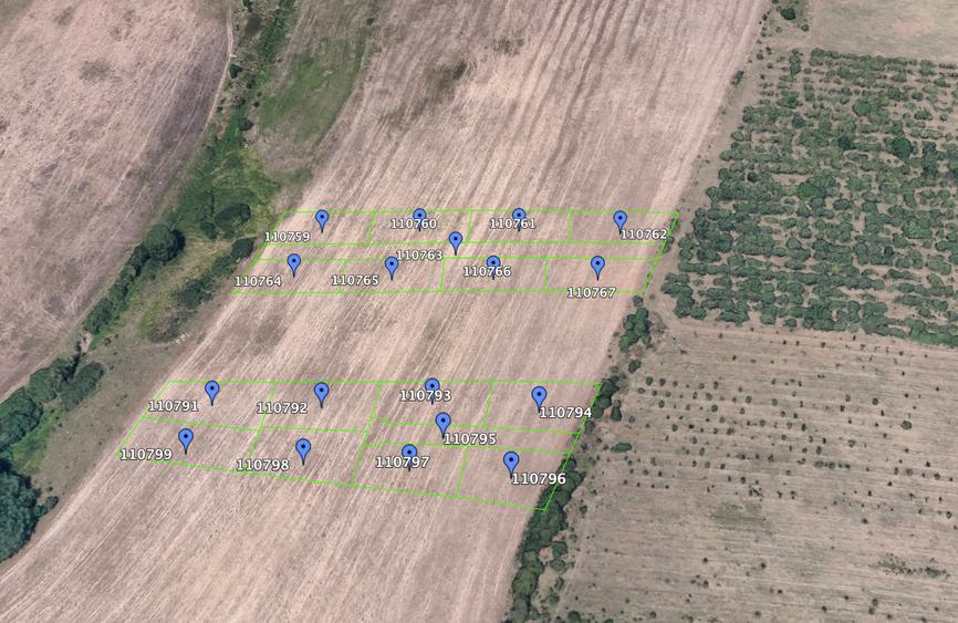 Teren Construcții extravilan de 600 mp, în Rusciori