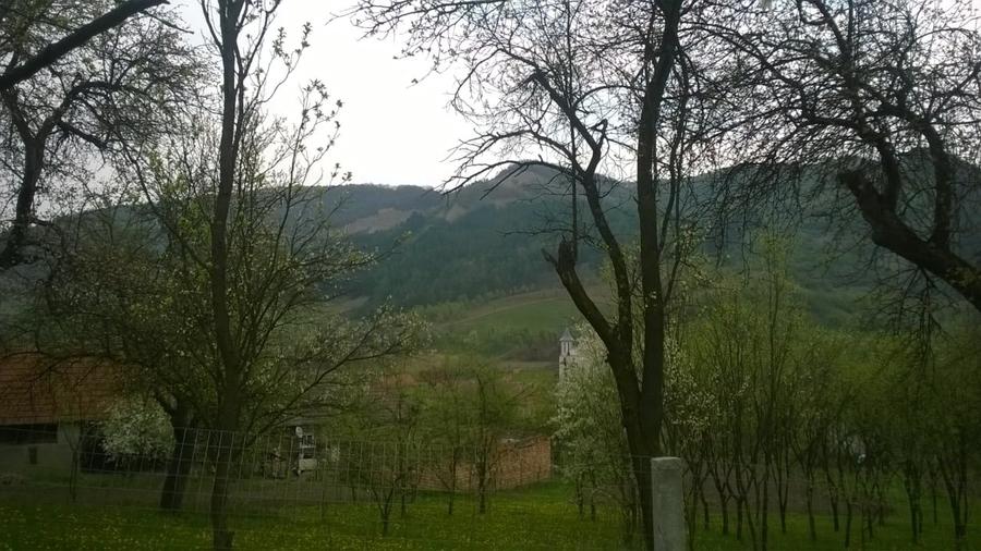 Teren Construcții intravilan de 2750 mp, în Nicula