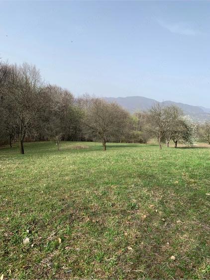 Teren de 6000 mp, în Cetățele