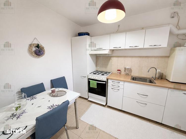 Apartament 2 camere cu terasa | Semi-Decomandat | Bucuresti sector 3 - 12