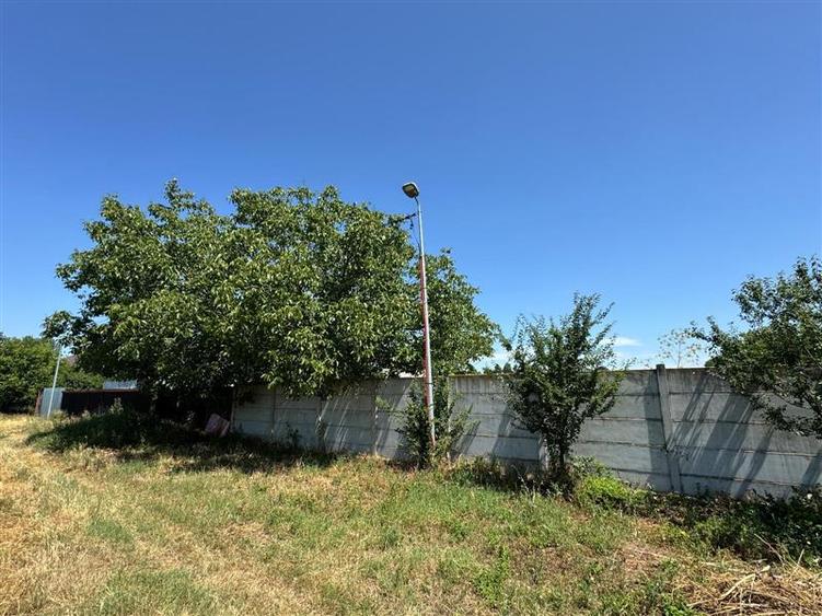Teren intravilan de 2600 mp, în Găneasa