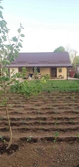 Casă cu Teren 1000 Mp în Bucu