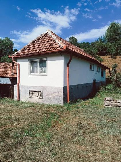 Casă cu 2 camere cu Teren 10000 Mp în Central