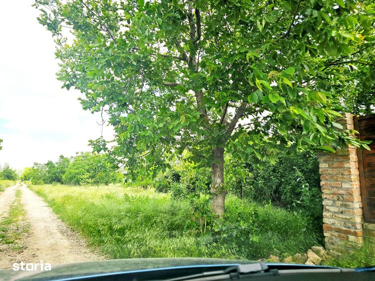 Teren de 500 mp, în Vânători