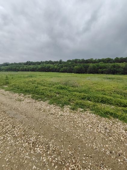 Teren Construcții intravilan de 860 mp, în Crevedia