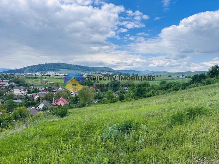 Teren agricol intravilan de 3000 mp, în Ciritei