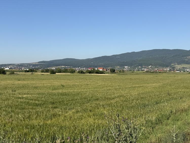 Teren agricol intravilan de 11100 mp, în Bărăbanț