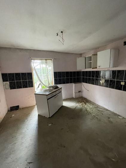 Casa cu teren 2.250 mp Branistari la 30 de km de Bucurresti - 5