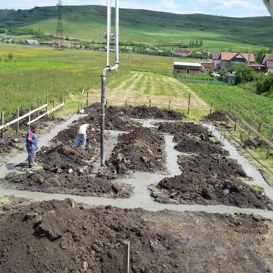 Casă cu 4 camere cu Teren 1800 Mp în Gădălin