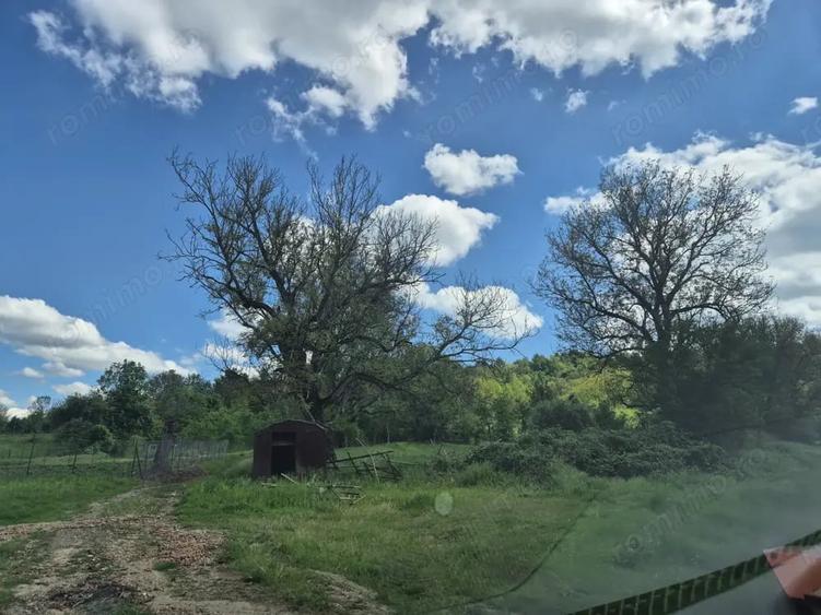 Teren de 1400 mp, în Goruia