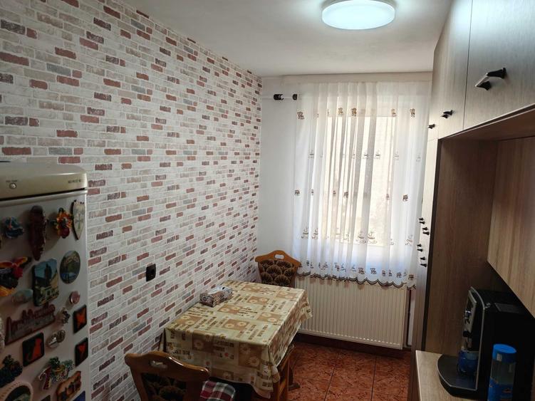 Apartament cu 3 camere decomandat în Stana