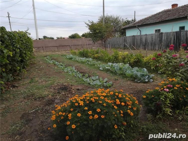 Casă cu 5 camere cu Teren 2800 Mp în Corabia