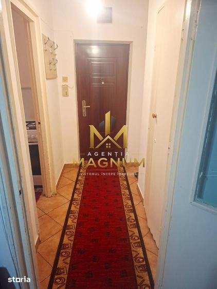 Apartament cu 2 camere semidecomandat în Săsar