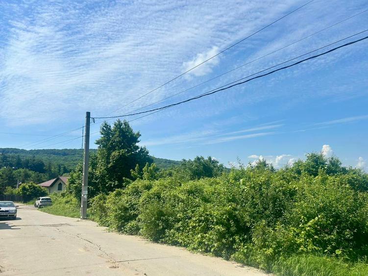 Teren Construcții intravilan de 2779 mp, în Bucium