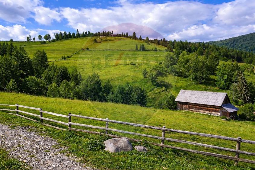 Teren Construcții intravilan de 6500 mp, în Arieșeni