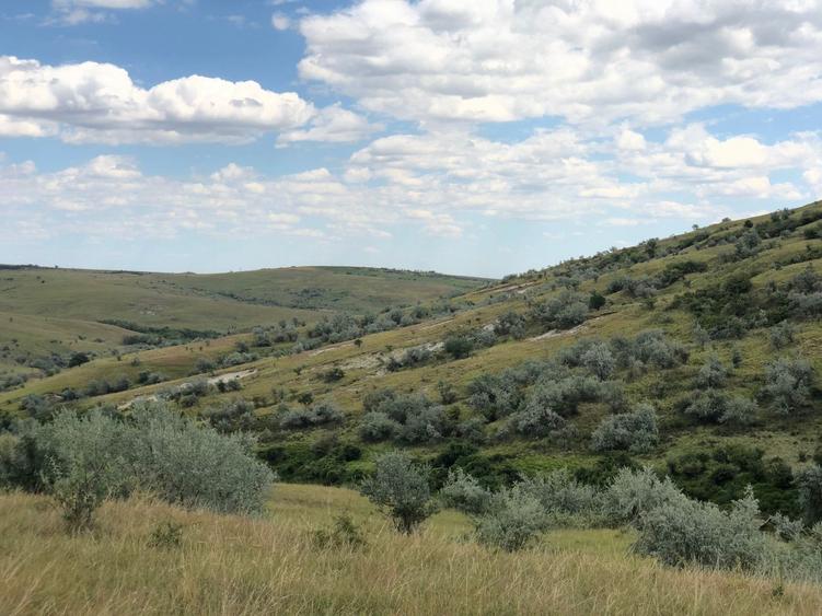 Teren agricol extravilan de 500000 mp, în Tohani