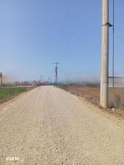 Teren de 20000 mp, în Biharia