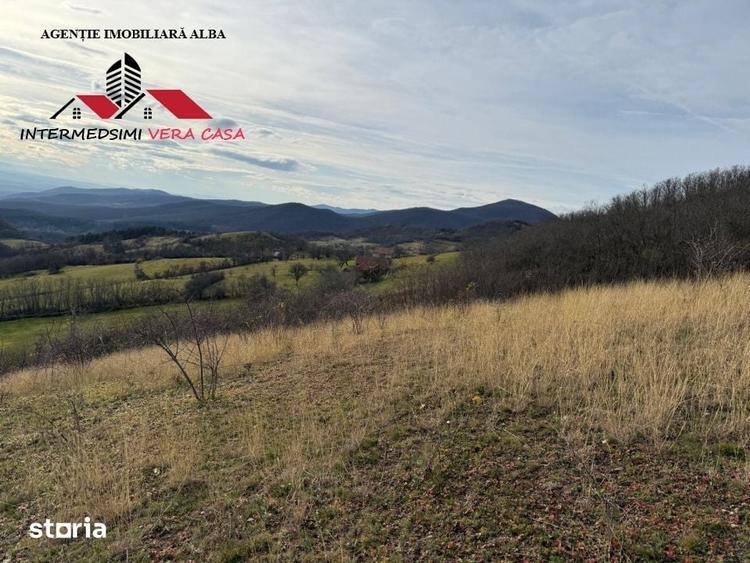 Teren de 8010 mp, în Vințu de Jos