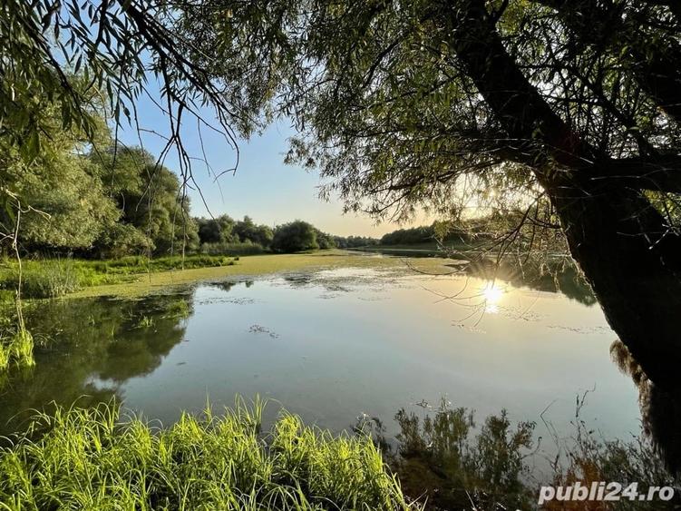 Teren de 8800 mp, în Pătlăgeanca