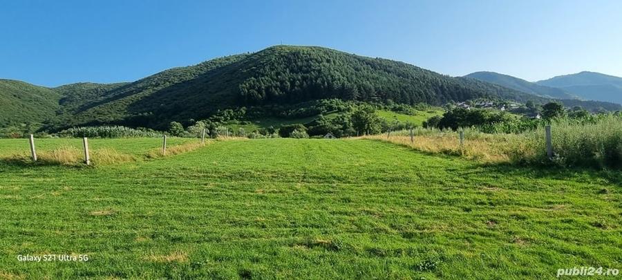 Teren de 5000 mp, în Gura Râului