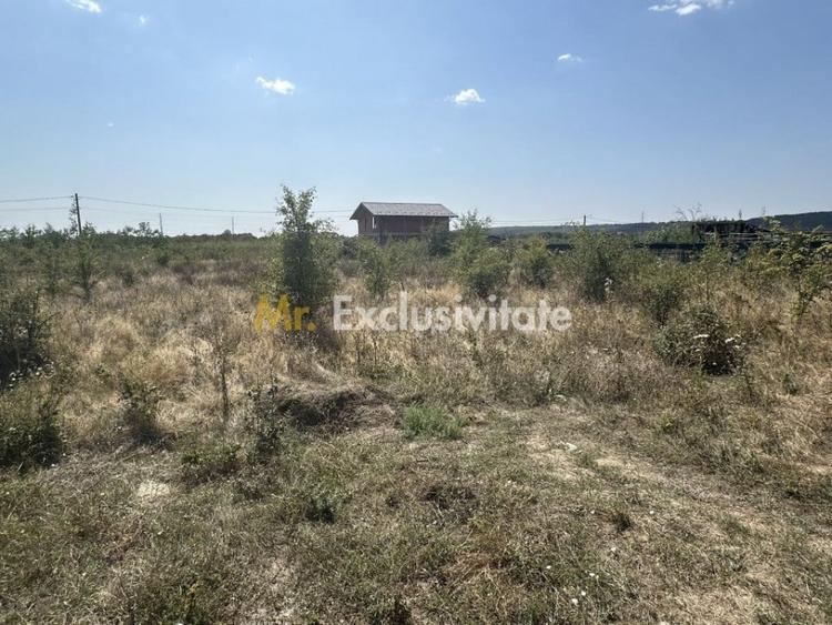 Teren de 1040 mp, în Moșoaia