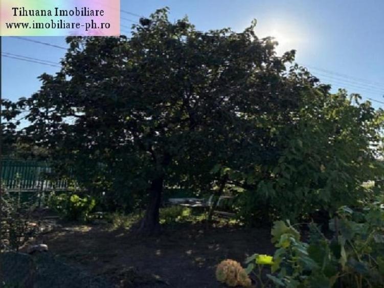 Casă individuală cu 4 camere cu Garaj în Valea Călugărească