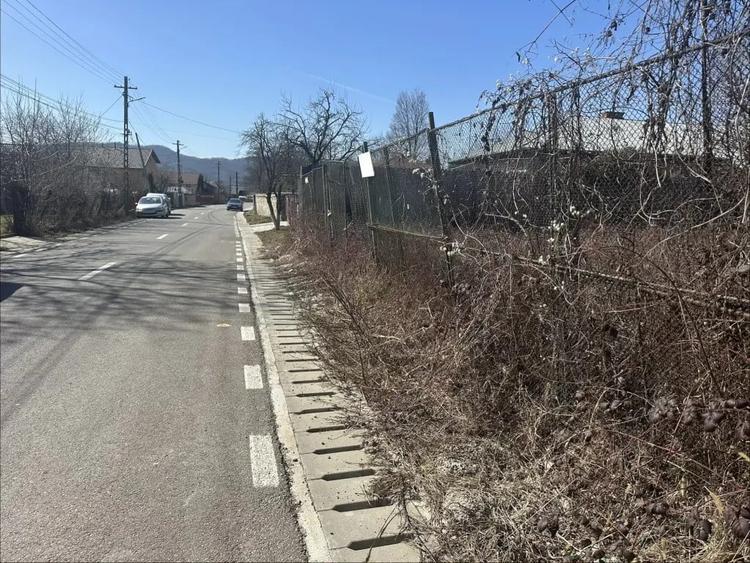 Teren Banesti - Campina - 1