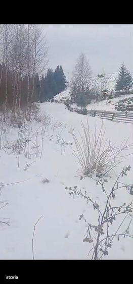 Teren de 8179 mp, în Cârlibaba