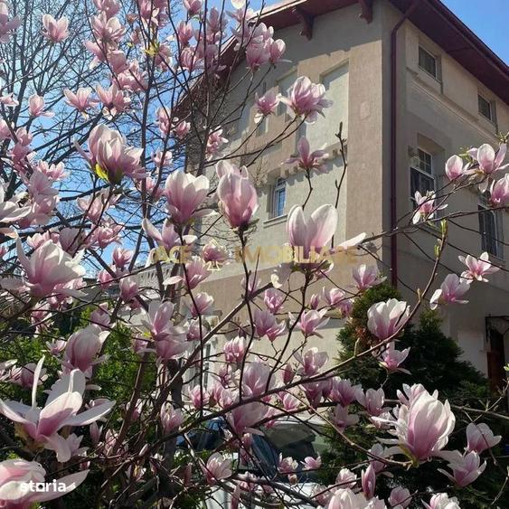Casă cu 6 camere cu Teren 1000 Mp în Unirii