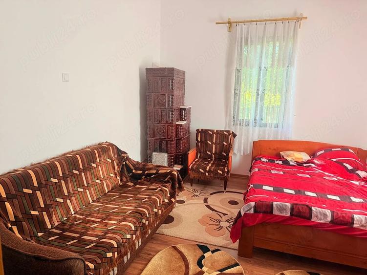 Casă cu 3 camere cu Teren 6400 Mp în Dealu Lăunele