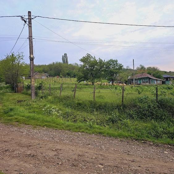 Casă cu 2 camere cu Teren 5000 Mp în Roșu