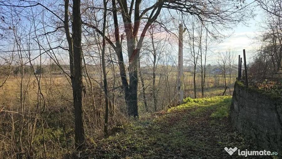 Teren de vanzare in Fratautii Noi / Strada Dealului - 6