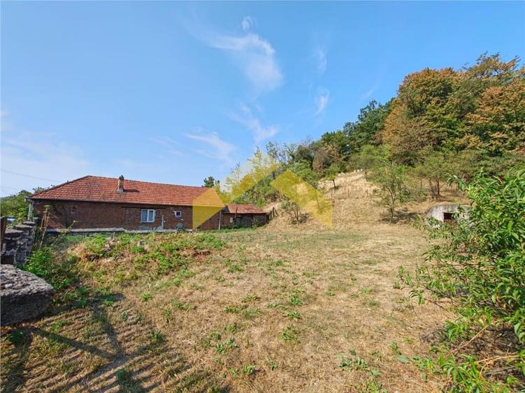 Casă cu 3 camere cu Teren 2504 Mp în Cuiaș