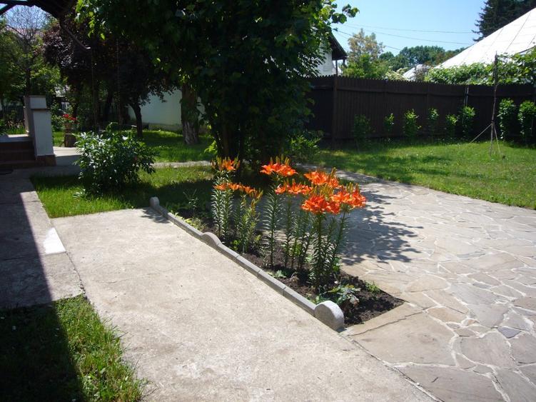 Casă cu 6 camere cu Teren 1200 Mp în Central