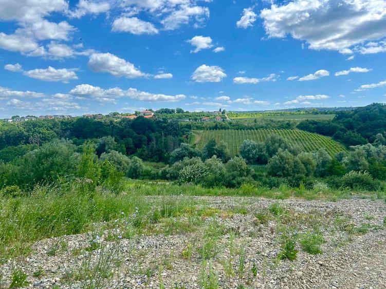 Teren intravilan de 670 mp, în Vișani