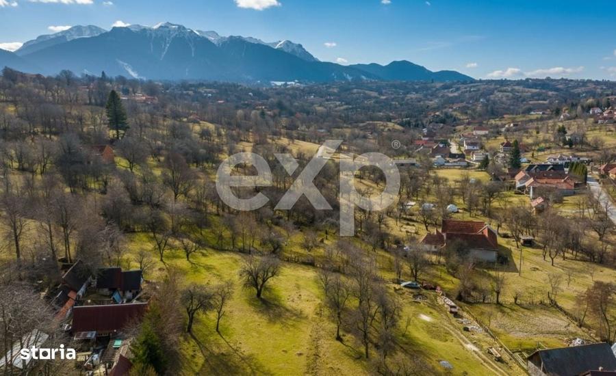 Spațiu comercial, în Sohodol