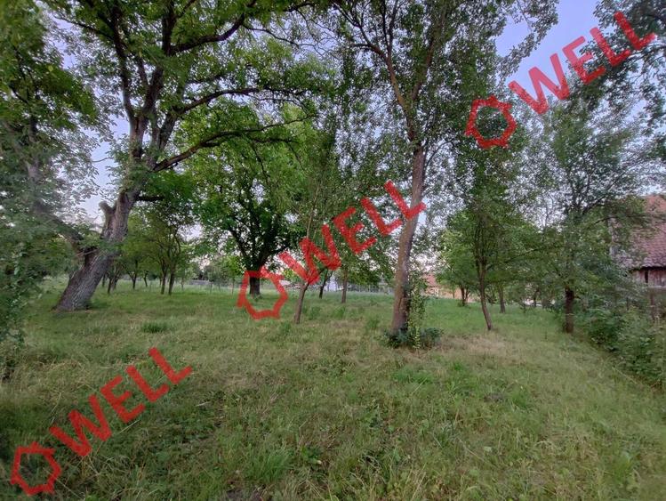 Teren Construcții intravilan de 1800 mp, în Calnic