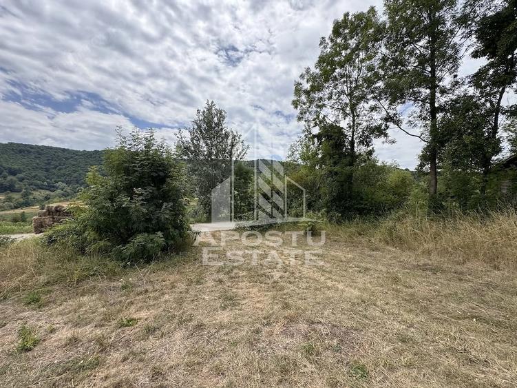 Teren de 7492 mp, în Fornădia