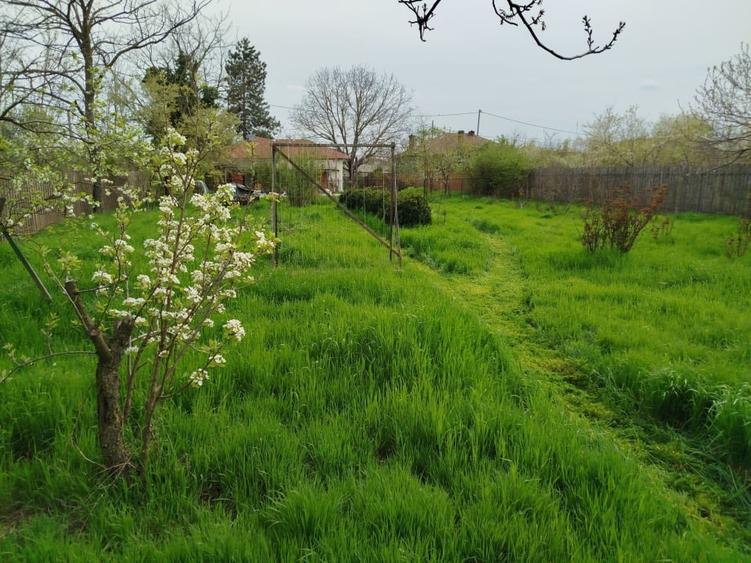 Casă individuală cu 5 camere cu Teren 1450 Mp în Goleasca