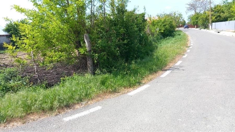 Teren de 1000 mp, în Nămoloasa