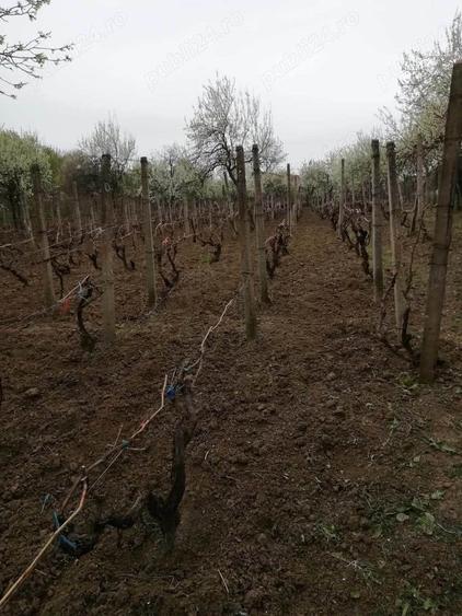Casă cu 4 camere în Izvoru Dulce (Merei)