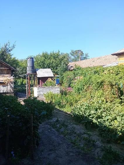 Casă cu 5 camere în Păuleasca