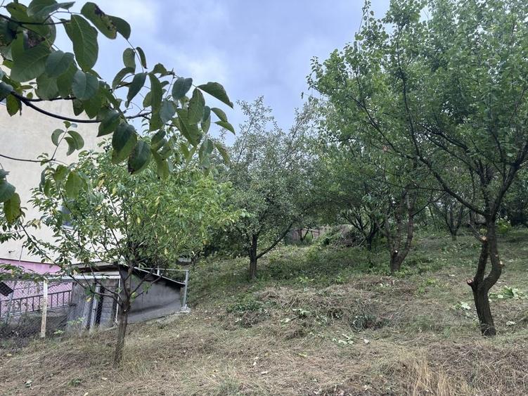 Casă cu 4 camere în Lunca Cetățuii