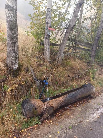 Teren de 3500 mp, în Central
