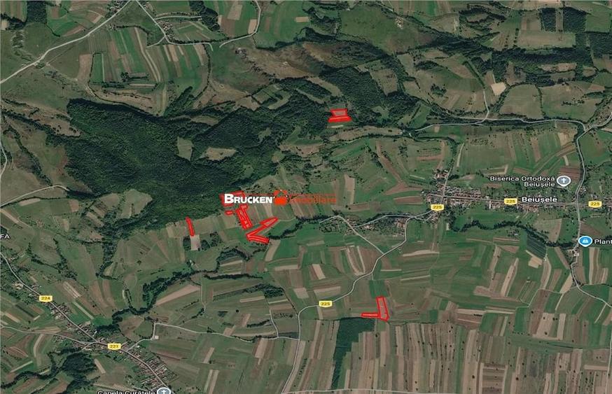 Teren de 60000 mp, în Beiușele