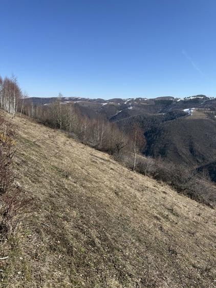 Vand teren , Marisel judetul Cluj - 1