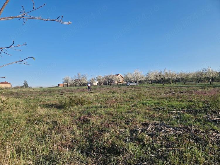 Teren de 3100 mp, în Paleu