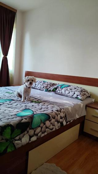 Apartament 2 camere, zona nord - 10